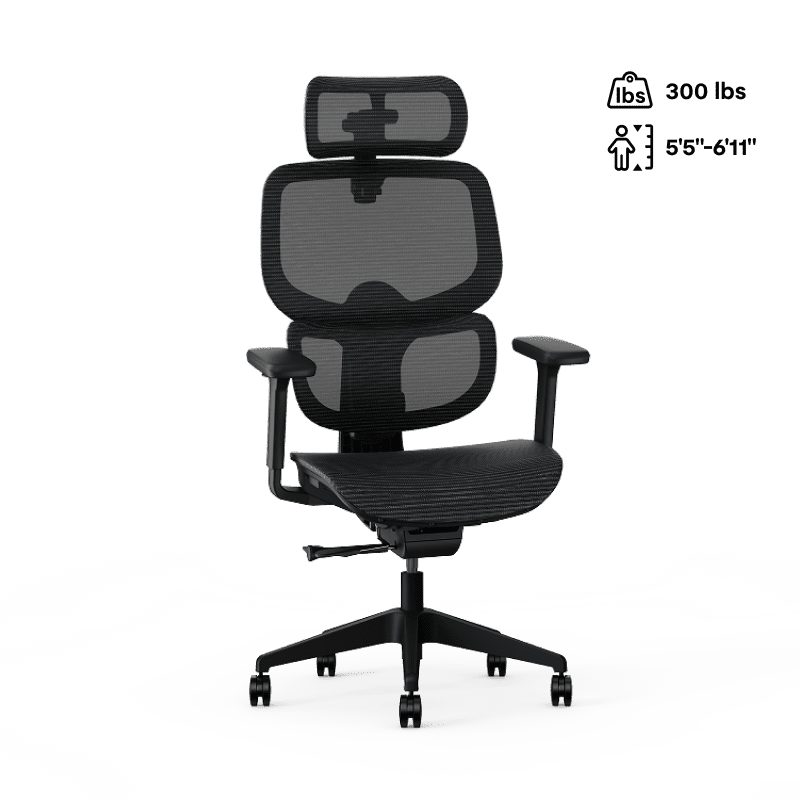 FlexiSpot C7